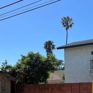 Meet your Posher, Carlos